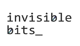 Invisible Bits